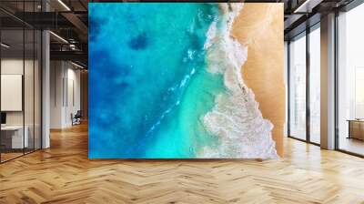 Coast and waves as a background from top view. Turquoise water background from top view. Summer seascape from air. Travel - image Wall mural