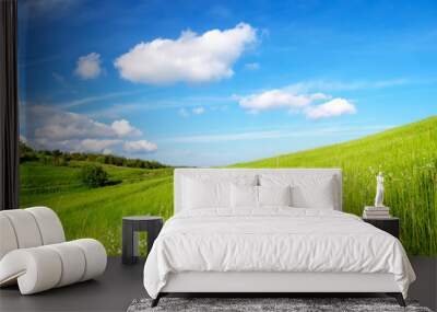 Field and cloudy sky in the summer time. Wall mural