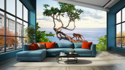 Monkey on the tree. Animals in the wild. Landscape during sunset. Kelingking beach, Nusa Penida, Bali, Indonesia. Travel - image Wall mural