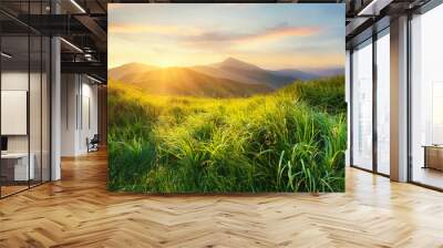 Mountain valley during sunset. Field with fresh grass and the mountain hills. Natural landscape at the summer time Wall mural