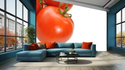 Closeup of fresh red tomatoes, isolated. Wall mural