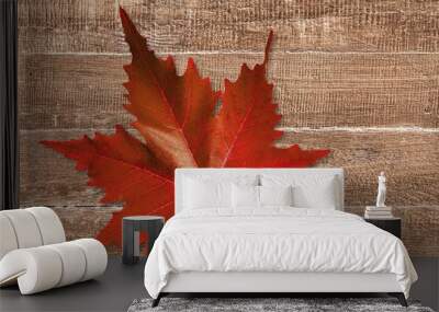 Autumn. Wall mural