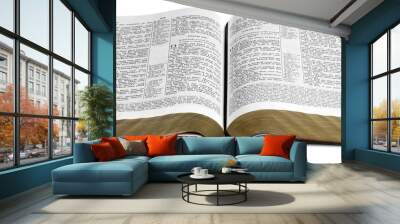 Book. Wall mural