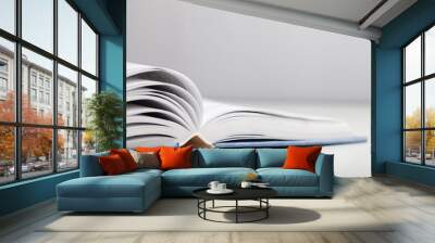 book. Wall mural