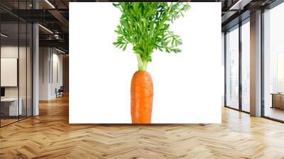 Carrots isolated on white background Wall mural