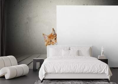 Cat. Wall mural