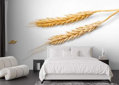 Closeup of Golden Barley , Wheat Plants Wall mural