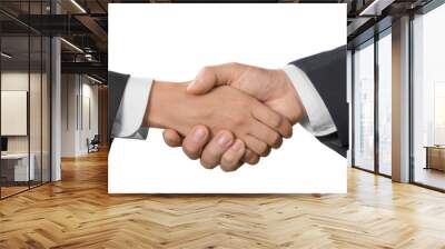 Closeup of Two Business People Shaking Hands Wall mural