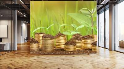 Coins in soil with young plants on background Wall mural