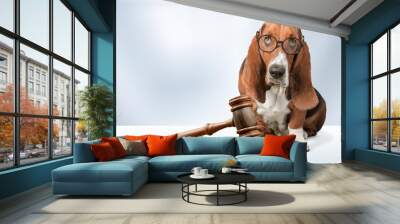 Cute domestic dog and judge's gavel Wall mural