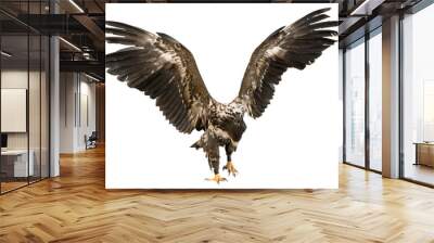 Eagle with spread wings isolated on white background Wall mural