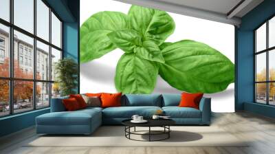 Fresh basil Wall mural