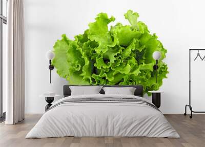 Fresh green salad on White Background Wall mural