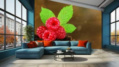 Fresh red raspberries with green leaf Wall mural