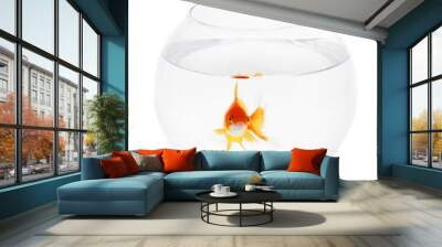 Goldfish In Fishbowl Wall mural