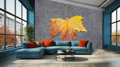 Halloween minimal concept with dry autumn leaf, holiday fun background Wall mural