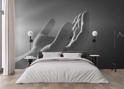 Hand of prayer person worship with light Wall mural