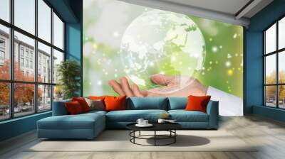 Hands of person hold network with map globe Wall mural