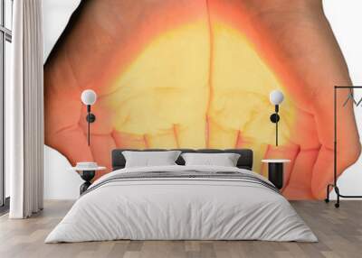 Human hands holding flash light on background Wall mural