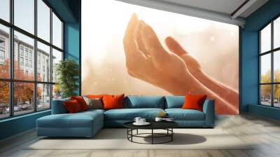 Human hands open palm up. Wall mural