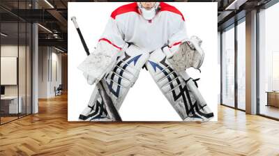 Ice Hokey Goalie, Isolated Wall mural