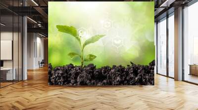 Microelements for plants nutrition. Factors necessary for the process of plant growth and development.Young beans plant Wall mural