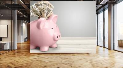 Piggy bank and  money on background Wall mural