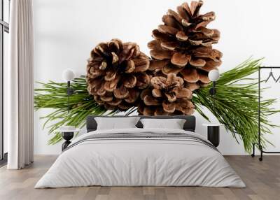 Pine cones with branch on a white background. Wall mural