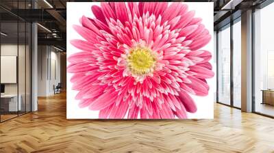 Pink Pretty flower, close up, isolated on white Wall mural