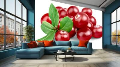 Red cranberries isolated on background Wall mural