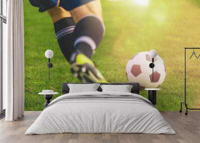 Running soccer player on grass Wall mural