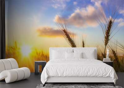 Sun Shining over Golden Barley / Wheat Wall mural