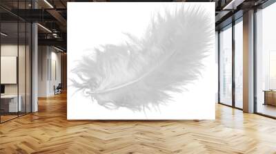 White feather isolated on white background Wall mural