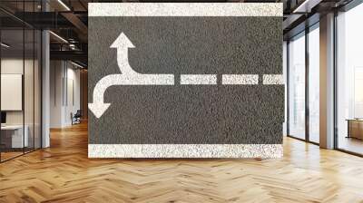 straight way divergent into two different roads , a decision making concept Wall mural