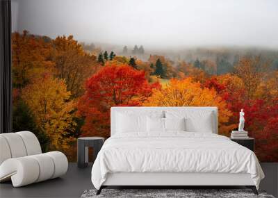 Fall autumn leaves changing in the trees on a foggy day landscape Wall mural