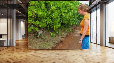 Female Tourist Watching Hawaiian Goose or NeNe at Kilauea Point National Wildlife Reserve, Kilauea, Kauai, Hawaii, USA Wall mural