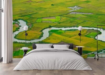 amazing landscape rice field on Bac Son, Viet Nam, above rice terraces in a beautiful day rice field on Bac Son, Viet Nam Wall mural