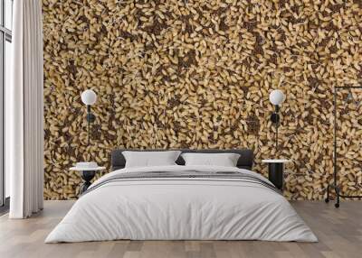 A pile of rice seeds starting to sprout. Wall mural