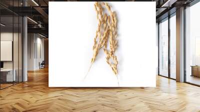 Ears of rice isolated on white background Wall mural