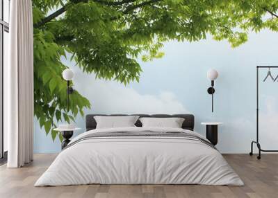 fresh green leaf and branch on blue sky Wall mural