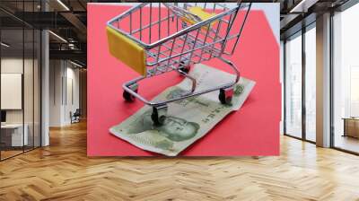 empty basket without food and one Chinese yuan Wall mural