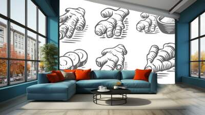 Ginger hand drawing style vintage engraving. Wall mural