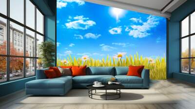 green grass and blue sky with clouds Wall mural