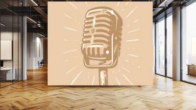 retro microphone with ray sketch style Wall mural