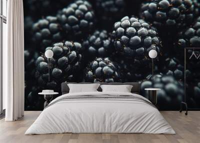 close-up of dark, juicy blackberries Wall mural