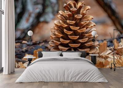 Detailed close-up of a pine cone in a snowy forest Wall mural