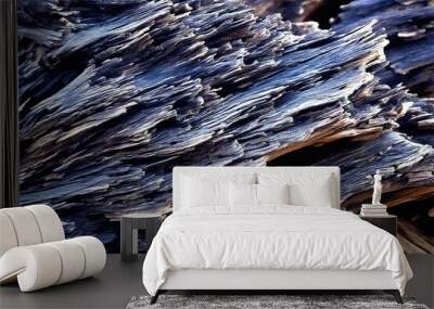 Background and Texture Wall mural