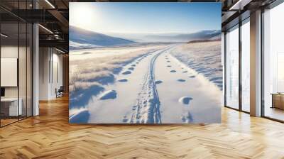 footprints in the snow Wall mural