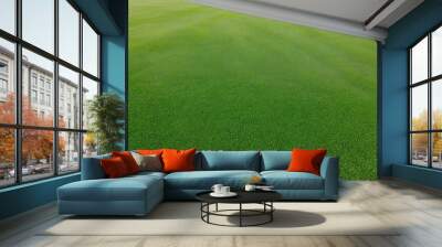 green grass background Wall mural