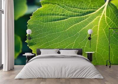 green leaf texture Wall mural